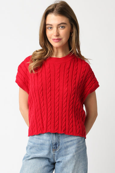 Alina Sweater Vest Top