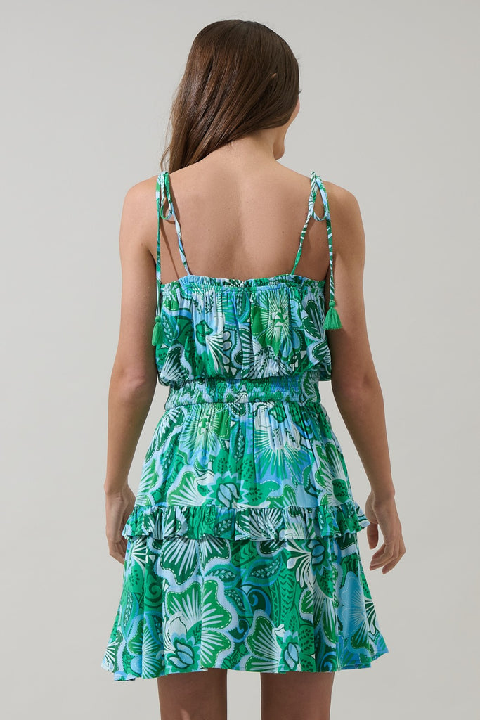 Tanti Floral Salta Ruffle Mini Dress