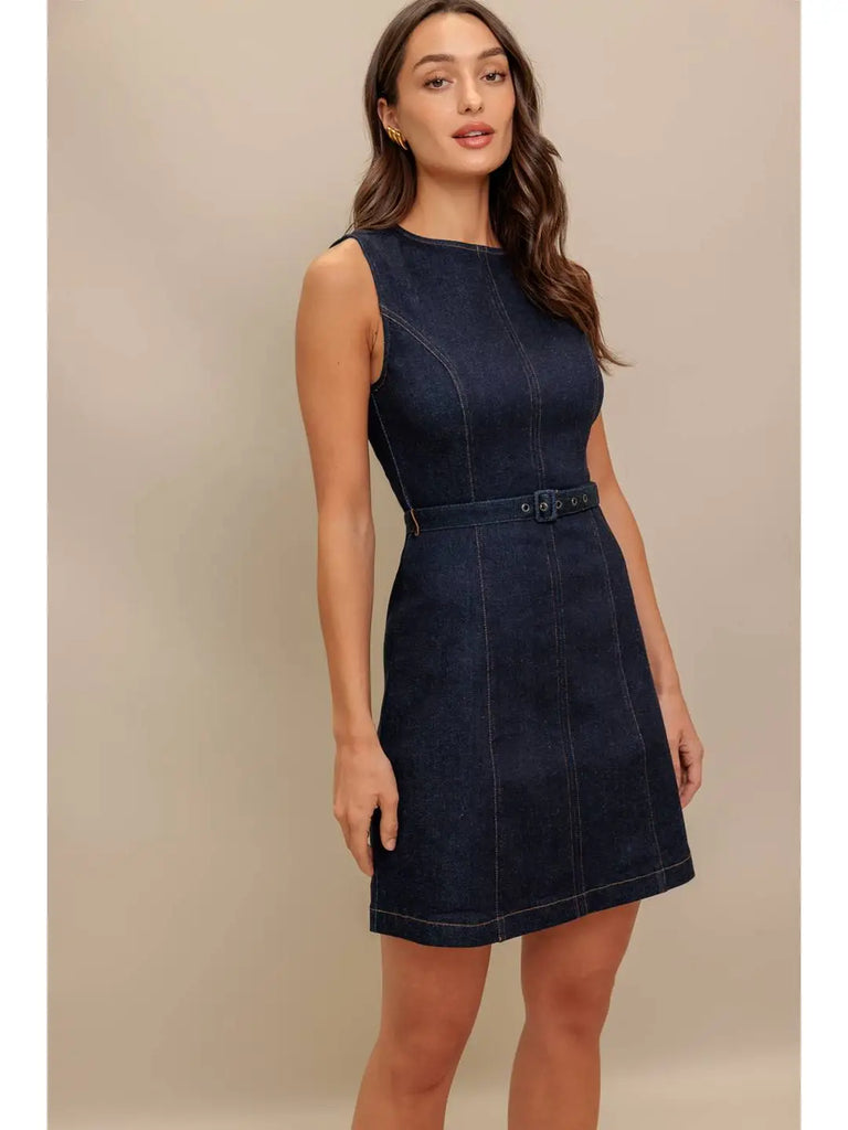 Joanna Denim Dress