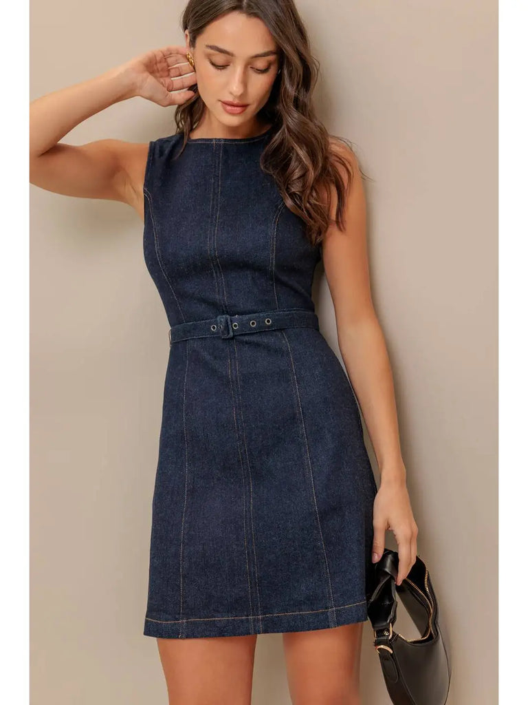 Joanna Denim Dress