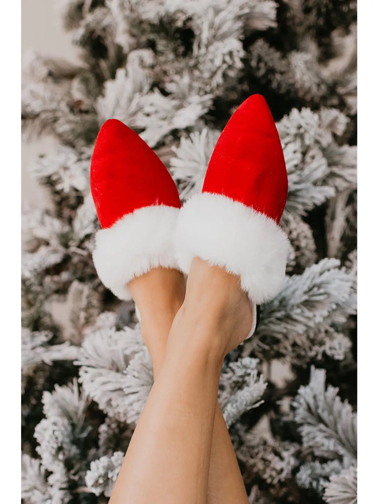 Santa Baby Rollasole