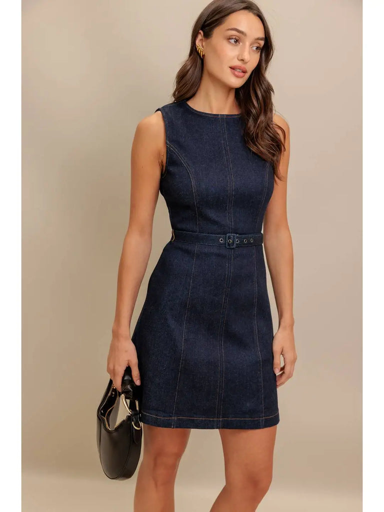 Joanna Denim Dress