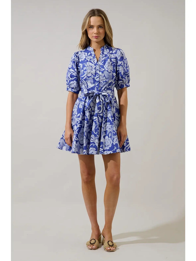 Viry Floral Wenda Pleated Mini Dress