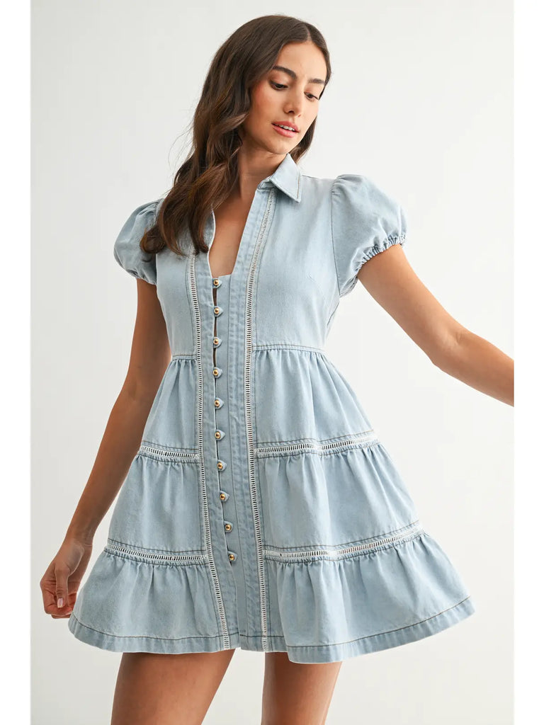 Bridgette Denim Dress