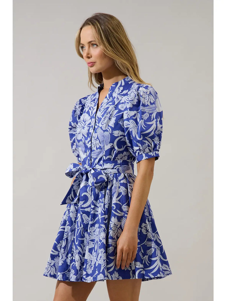 Viry Floral Wenda Pleated Mini Dress