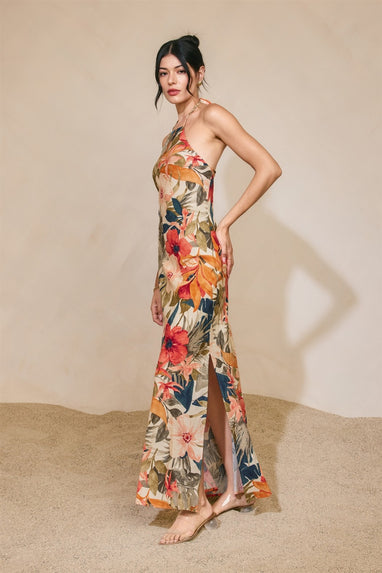 Countryside Bird Halter Neck Open Back Maxi Dress