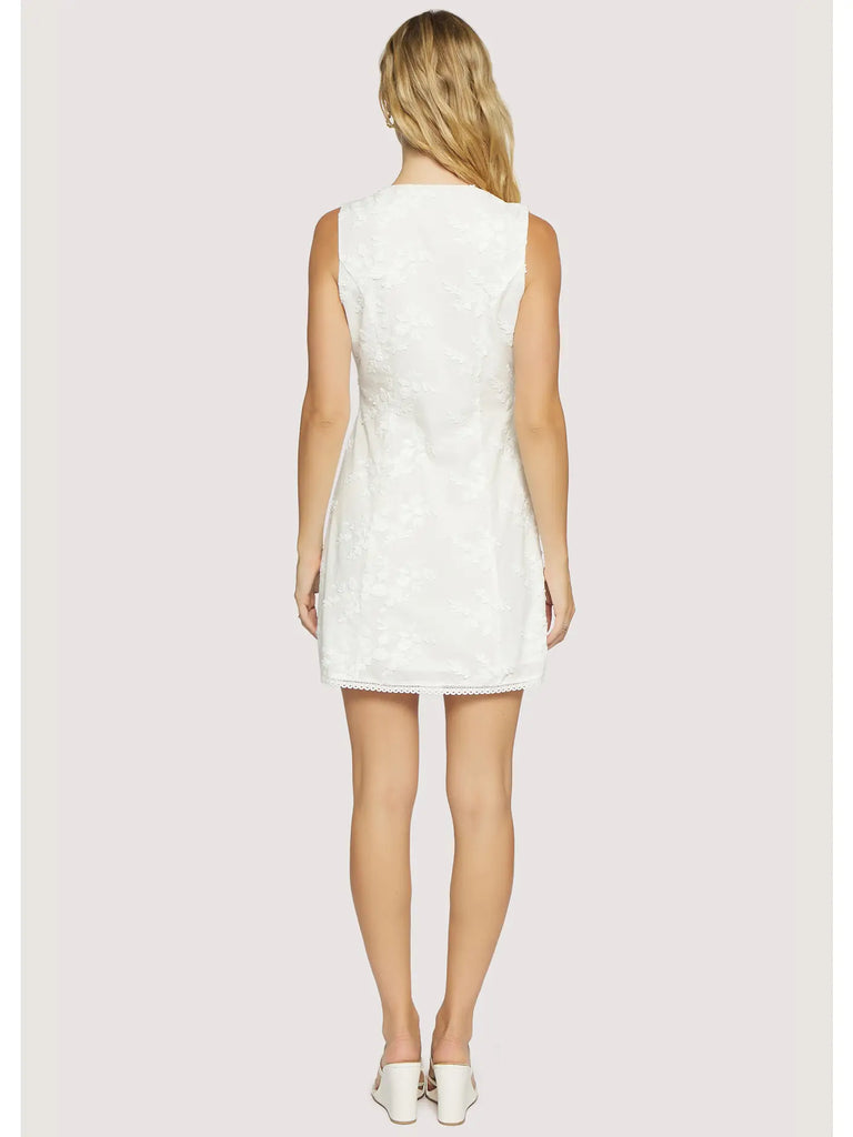 Dolce Amore Mini Dress